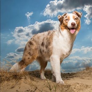 Meet your Posher, Rebekah